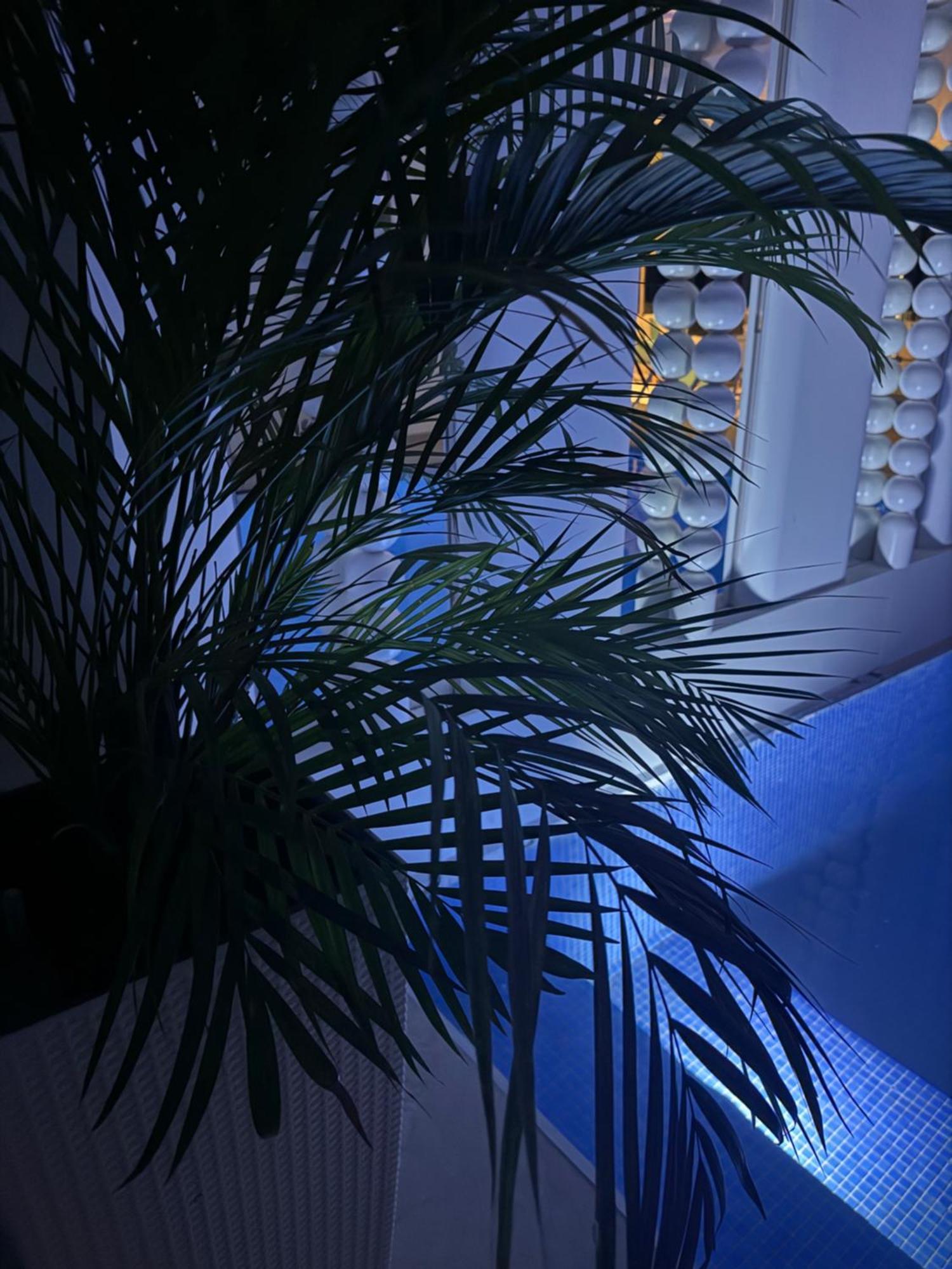 Hotel Senator ウルツィニ エクステリア 写真